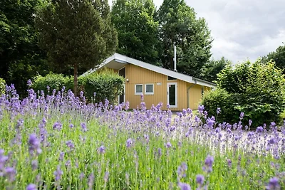 Ferienhaus mit Sauna im Ferienpark Mirow