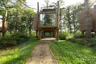 Ruhiges Baumhaus im Wald von Belvilla