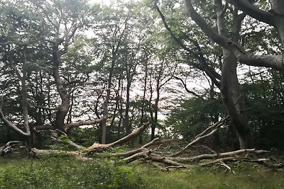 Luxus-Poolvilla in Lohals -- By Traum...