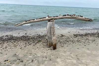 4 Personen Ferienhaus in Skagen-By Traum