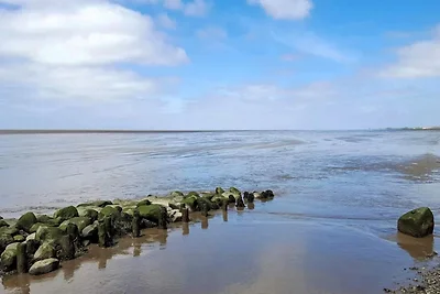4 Sterne Ferienhaus in Højer