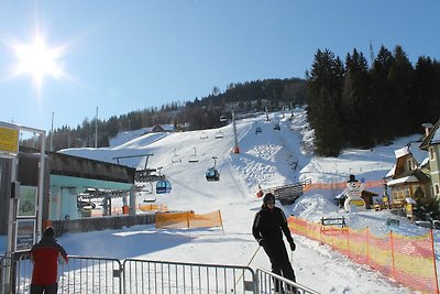 Chalet im Skigebiet