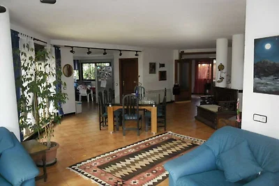 43850 Montecarlo