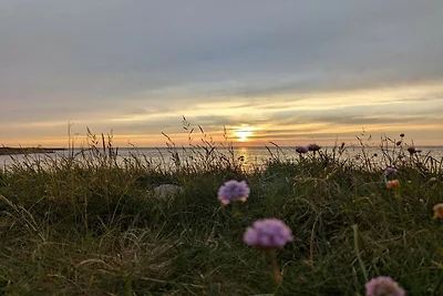 8 Personen Ferienhaus in Tarm