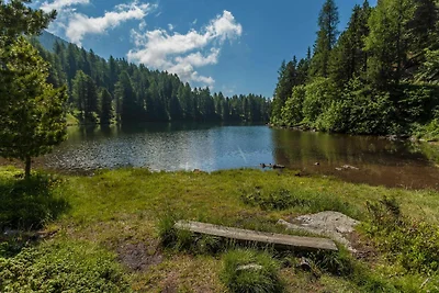 Großzügiges Chalet mit Whirlpool im Freien