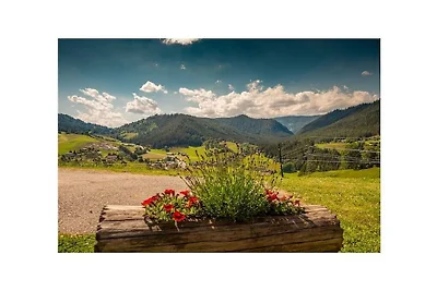 Azienda agricola a Forstau con piscina