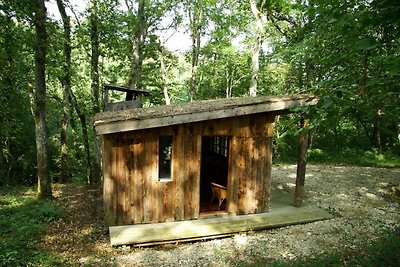 Ecolodge in Sequoia met terras