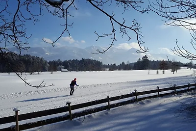 Hut in Ofterschwang met zwembad