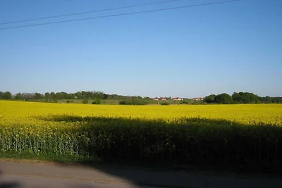 Ferienwohnung in Waren (Müritz)