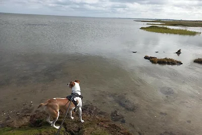 Strandflucht mit Pool -- By Traum...