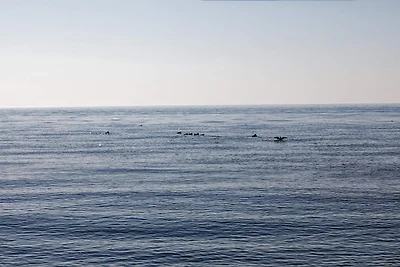 8 Personen Ferienhaus in Bagenkop