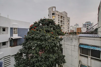 Supercollectie O Grey House