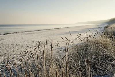 Ostsee Swantje Komfortable Ferienresidenz