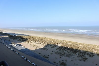 Appartement in Nieuwpoort met zeezicht