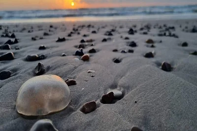 6 persoons vakantie huis in Brovst