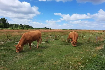 6 Personen Ferienhaus in Højslev-By Traum