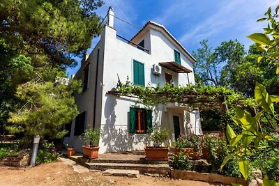 Villa in Ricadi mit Strand und Meer