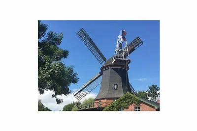 Nordseedeich Komfortable Ferienresidenz