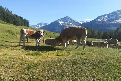 Fattoria di piccoli animali Seidl-Eder