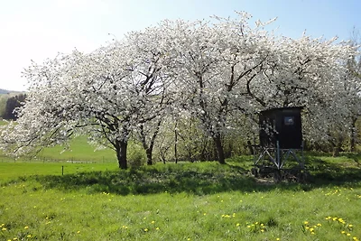 Ferienhaus Mosel mit privater Sauna