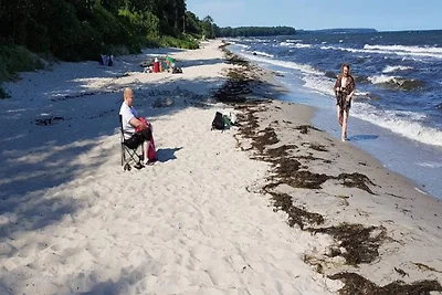 5 Personen Ferienhaus in Væggerløse-By Traum