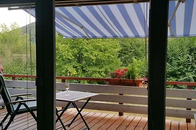 Vakantiehuis in Leinsweiler met barbecue