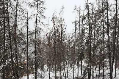 Appartement in Les Orres met uitzicht op de...