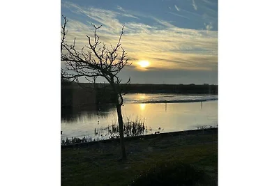 Ferienhaus in Makkum mit Barbecue