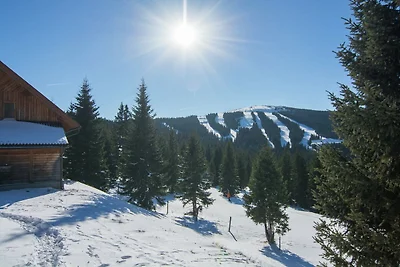 Chalet in den Alpen mit Sauna