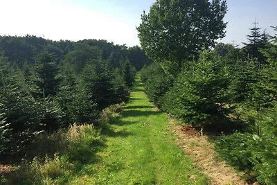 4 persoons vakantie huis in Odder