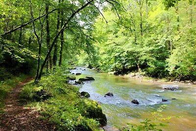 Villa di gruppo con piscina e sauna