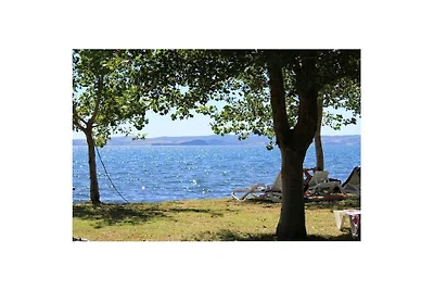 Bauernhof in Bolsena mit Schwimmbecken
