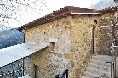 Attraktives Ferienhaus in Fornovolasco mit...