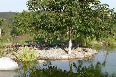 "Stolzenfels" im Haus Salzbornhöhe