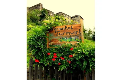 Turmwirt Farm - Gala Vakantieappartement