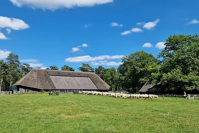 Bellissimo chalet nei boschi del Veluwe