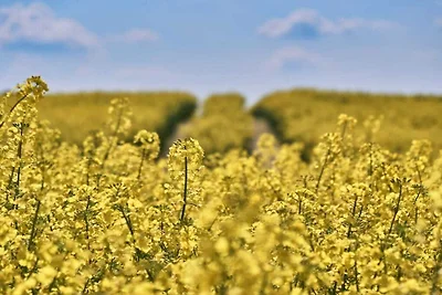 Kuća za odmor Dopust za oporavak Fargau-Pratjau