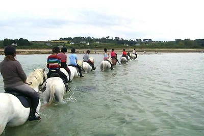 Dintorni (estate) (1-5 km) Dintorni (estate) (1-5 km)