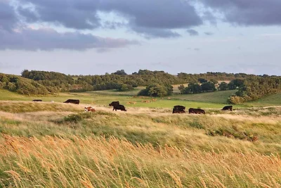 6 persoons vakantie huis in Skals-By Traum