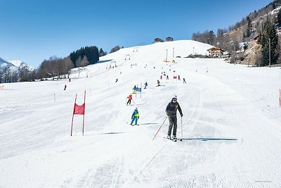 Vakantiehuis in Niedernsill vlakbij skigebied