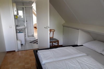 Ruim vakantiehuis in Petten