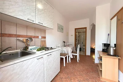 Apartment Butković - Studio Apartment (A1)