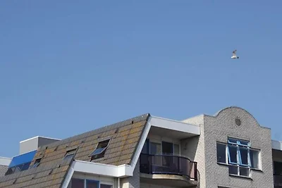 Casa vacanze a Petten con vista sulle dune