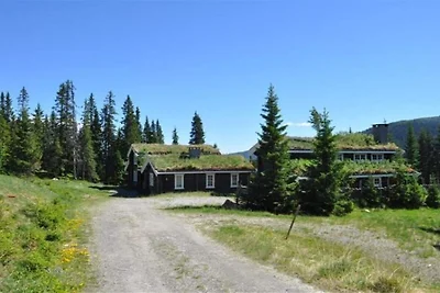 12 Personen Ferienhaus in Fåvang-By Traum