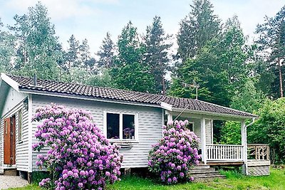 4 Personen Ferienhaus in Backaryd