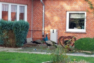 Ferienhaus Erholungsurlaub Wittmund