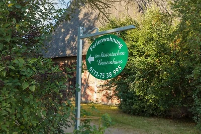 Ute von Lingelsheim