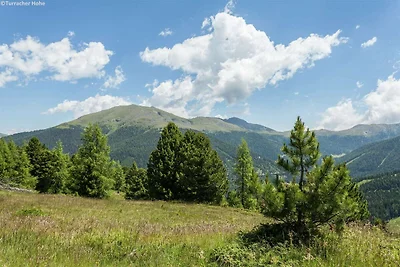 Appartement in Alpen bij Skigebied