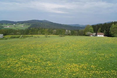 Ferienwohnung in Böbrach mit Parken