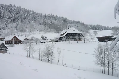 Rinkenbachhof Rifugio moderno